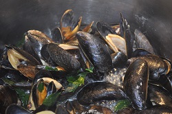 The mussels: cleaning and preparation